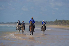 Brazil-Alagoas-The Coconut Trail Ride